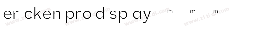 Ericken Pro Display字体转换